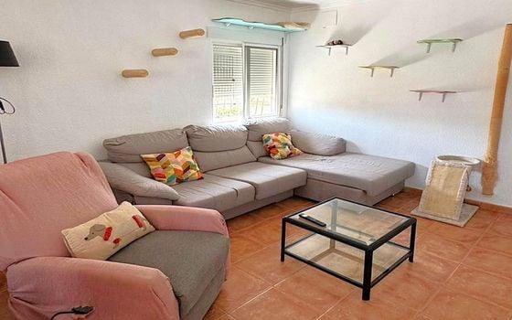 Villa de 5 chambres à Torrevieja - SV153257 - Photo - Small - 6
