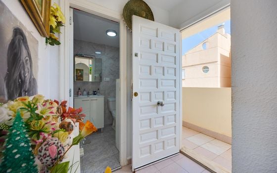 Appartement de 1 chambre à Torrevieja - MS153383 - Photo - Small - 14