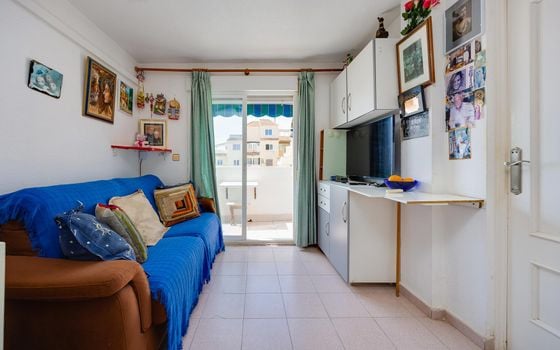 Appartement de 1 chambre à Torrevieja - MS153383 - Photo - 4