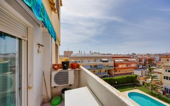 Appartement de 1 chambre à Torrevieja - MS153383 - Photo - Small - 16
