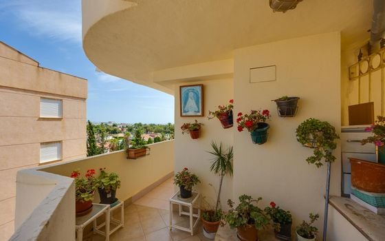 Appartement de 1 chambre à Torrevieja - MS153383 - Photo - Small - 20