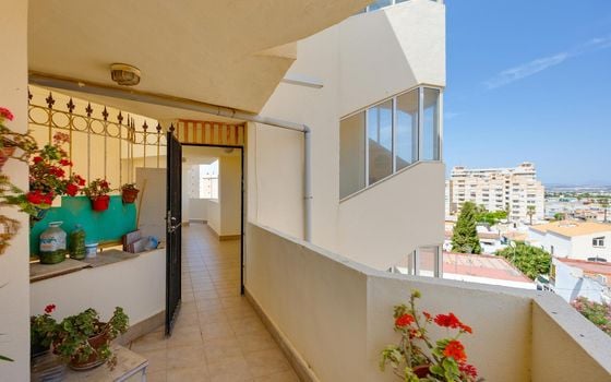 Appartement de 1 chambre à Torrevieja - MS153383 - Photo - Small - 19