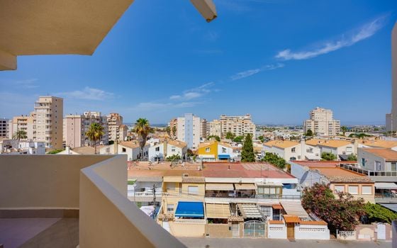Appartement de 1 chambre à Torrevieja - MS153383 - Photo - Small - 22