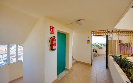 Appartement de 1 chambre à Torrevieja - MS153383 - Photo - Small - 21