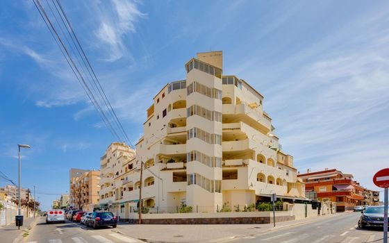 Appartement de 1 chambre à Torrevieja - MS153383 - Photo - Small - 27
