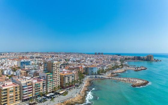 Appartement de 1 chambre à Torrevieja - MS153383 - Photo - Small - 36