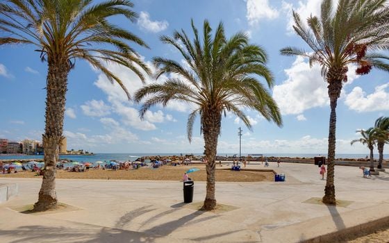 Appartement de 1 chambre à Torrevieja - MS153383 - Photo - Small - 34