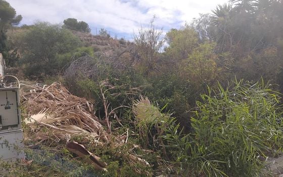 Parcela de  en Algorfa- MP153417 - Foto - 1