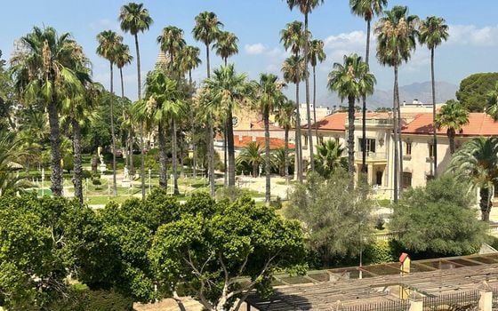 2 bedroom Penthouse in Jacarilla - MP153420 - Photo - Small - 18