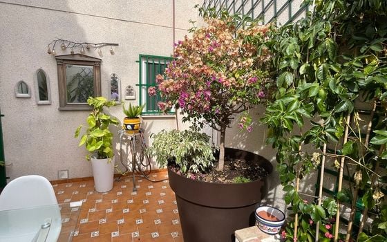 2 bedroom Villa in Rojales - MP153421 - Photo - Small - 15