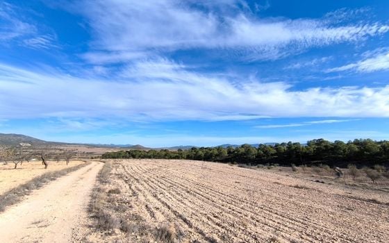  Plot in Murcia- SIP153469 - Photo - Small - 10