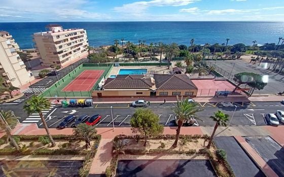 Appartement de 3 chambres à Torrevieja - ERV153558 - Photo - Small - 12