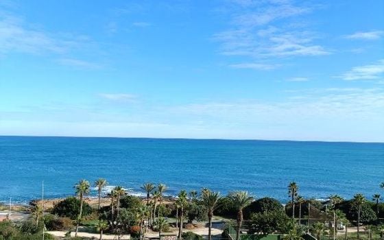 Appartement de 3 chambres à Torrevieja - ERV153558 - Photo - Small - 14