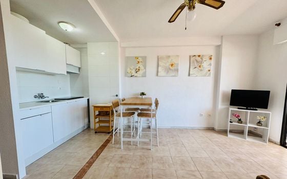 Appartement de 3 chambres à Torrevieja - ERV153558 - Photo - Small - 6