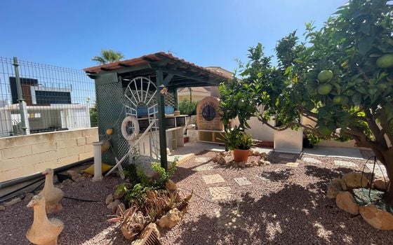 Villa de 4 chambres à Cabo Roig - LR153623 - Photo - Small - 28