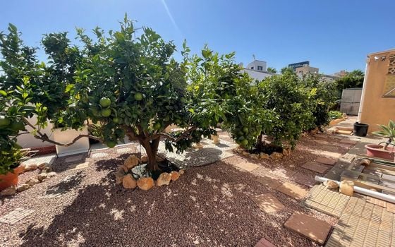 Villa de 4 chambres à Cabo Roig - LR153623 - Photo - Small - 29