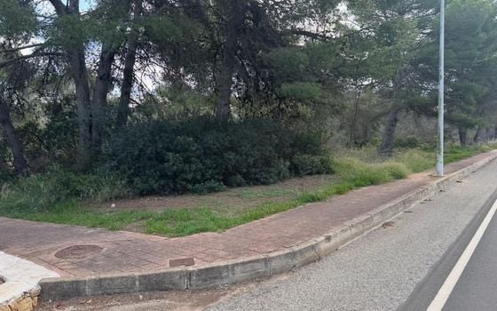 Parcela de  en Jávea- PVJ153698 - Foto - 2
