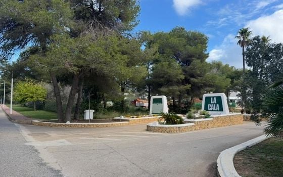 Parcela de  en Jávea- PVJ153698 - Foto - Small - 7