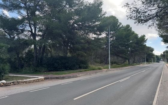 Parcela de  en Jávea- PVJ153698 - Foto - 3