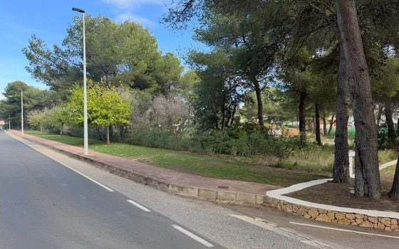 Parcela de  en Jávea- PVJ153698 - Foto - 4