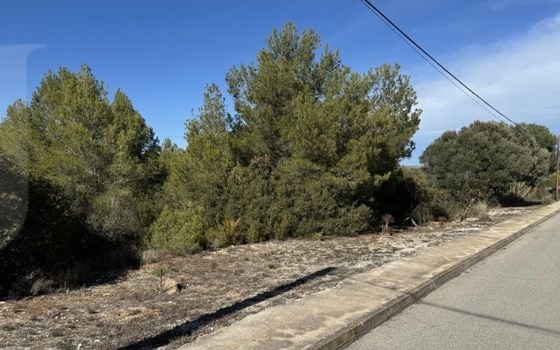 Parcela de  en Jávea- PVJ153709 - Foto - 4