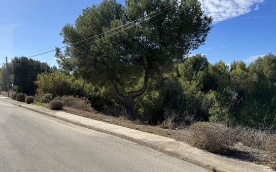 Parcela de  en Jávea- PVJ153709 - Foto - 5