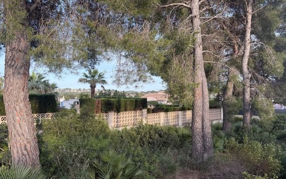 Parcela de  en Jávea- PVJ153712 - Foto - 4