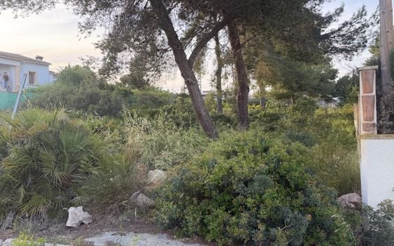 Parcela de  en Jávea- PVJ153712 - Foto - 3