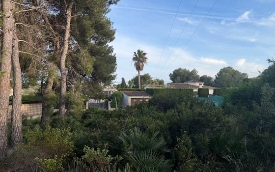 Parcela de  en Jávea- PVJ153712 - Foto - 5