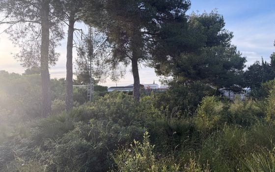 Parcela de  en Jávea- PVJ153712 - Foto - Small - 6