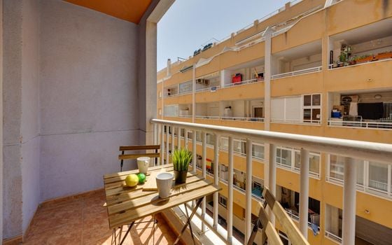2 bedroom Apartment in Torrevieja - CYM154062 - Photo - Small - 18