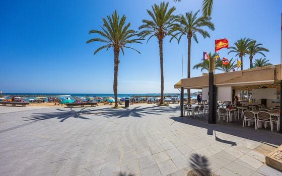 2 bedroom Apartment in Torrevieja - CYM154062 - Photo - Small - 23