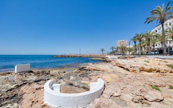 2 bedroom Apartment in Torrevieja - CYM154062 - Photo - Small - 27