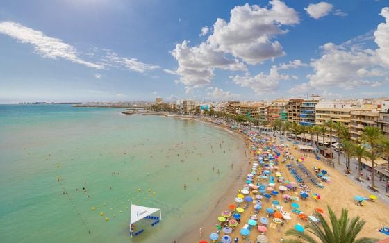 2 bedroom Apartment in Torrevieja - CYM154062 - Photo - Small - 28