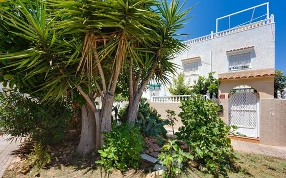 Villa de 2 chambres à Torrevieja - CYM154063 - Photo - Small - 27