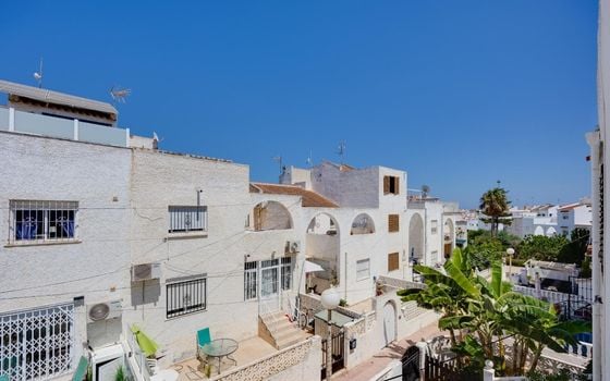 Villa de 2 chambres à Torrevieja - CYM154063 - Photo - Small - 26