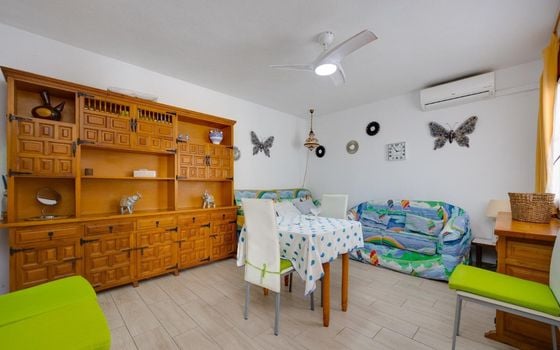 Villa de 2 chambres à Torrevieja - CYM154063 - Photo - Small - 6