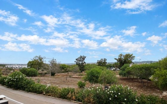 2 bedroom Penthouse in Vistabella - SLS154097 - Photo - Small - 21