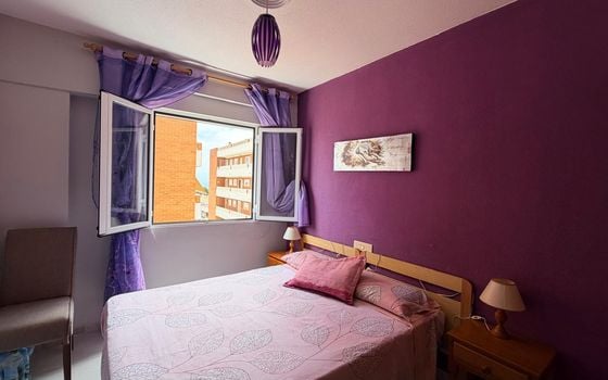 Appartement de 3 chambres à Punta Prima - LR154147 - Photo - Small - 11