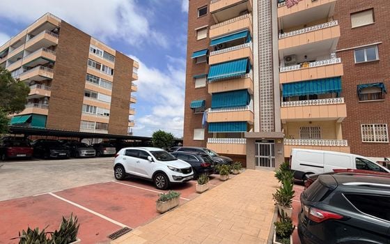Appartement de 3 chambres à Punta Prima - LR154147 - Photo - 1