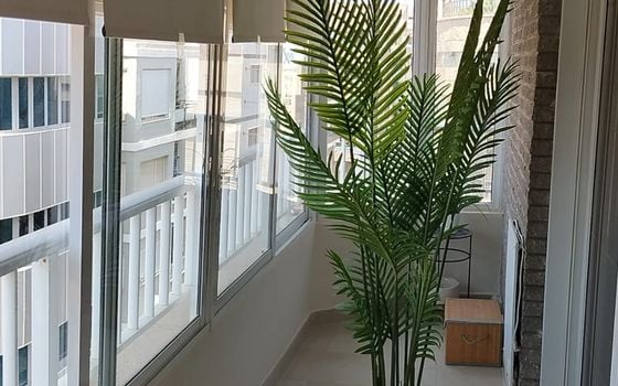 Appartement de 3 chambres à Torrevieja - PPS154160 - Photo - Small - 15