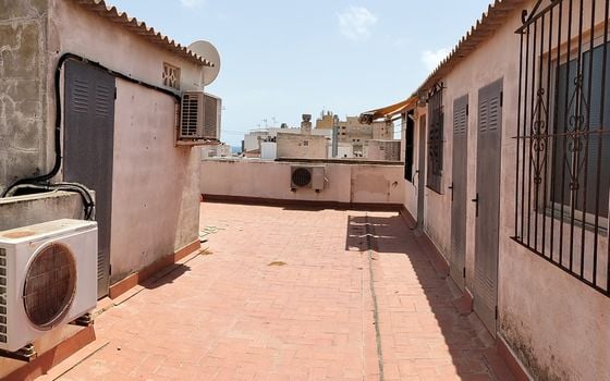 Appartement de 3 chambres à Torrevieja - PPS154160 - Photo - Small - 19