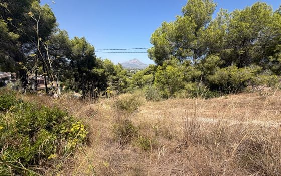 Parcela de  en Jávea- PVJ154161 - Foto - 1