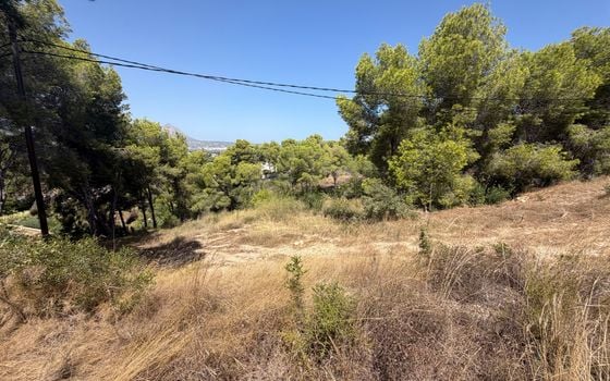 Parcela de  en Jávea- PVJ154161 - Foto - 2
