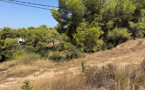 Parcela de  en Jávea- PVJ154161 - Foto - 3