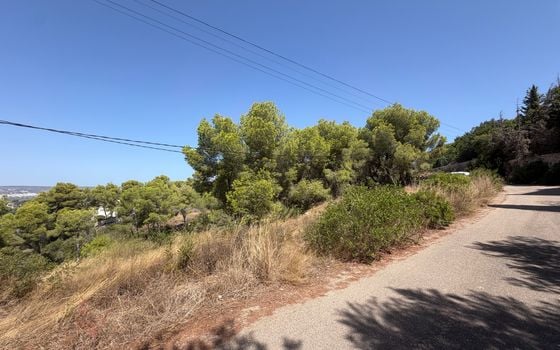 Parcela de  en Jávea- PVJ154161 - Foto - 4