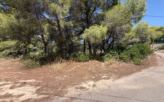 Parcela de  en Jávea- PVJ154161 - Foto - Small - 7