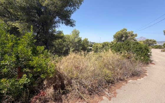Parcela de  en Jávea- PVJ154161 - Foto - Small - 8
