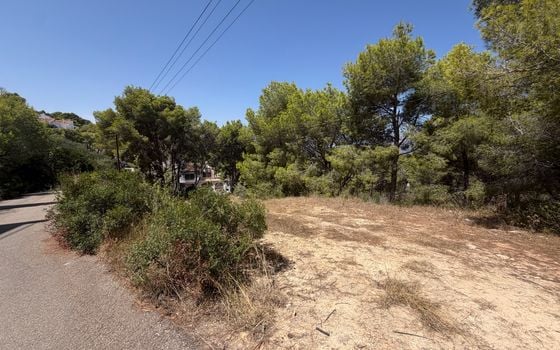 Parcela de  en Jávea- PVJ154161 - Foto - Small - 6