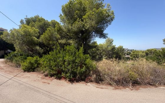 Parcela de  en Jávea- PVJ154161 - Foto - 5